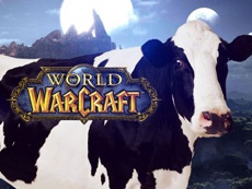 В World of Warcraft обнаружили секретный уровень с коровами