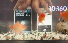 Флагманы Apple и Samsung испытали утоплением