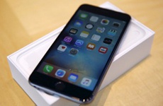 Поставки iPhone с AMOLED-дисплеем составят 60-70 млн штук