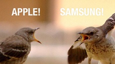 Исследование: Apple удерживает 76% своих клиентов, Samsung — 58%