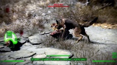 На диски PC версии Fallout 4 не записали несколько необходимых файлов для установки игры