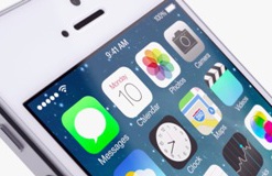 Индийские чиновники не смогут выдать гостайны