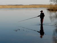 Пользователи Рунета в офлайне предпочитают кино и рыбалку