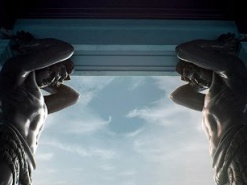 Волонтеры Сети