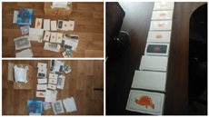 Николаевские киберполицейские разоблачили интернет-мошенников, которые обманули более 50 человек