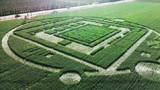 Круги на полях, вызвавшие панику в Калифорнии, оказались рекламой от NVIDIA