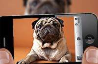 Скоро камеры смартфонов можно будет объединять в единую сеть