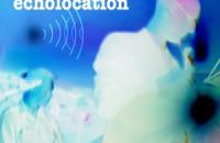 Новый алгоритм картографирует местность при помощи звука