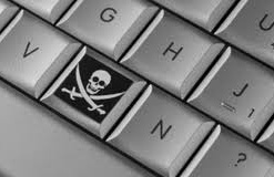 Шведского свиновода приговорили к году тюрьмы за интернет-пиратство