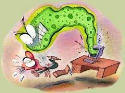 Новый Java-вредонос атакует серверы Apache Tomcat