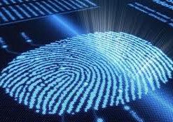 Сканеры отпечатков пальцев станут повсеместным явлением