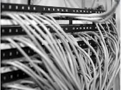 Ангела Меркель предлагает Европе создать собственную сеть