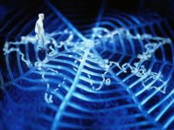 Интернет может стать квазимозгом человечества