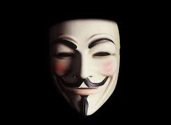 Бывший участник Anonymous признал себя виновным