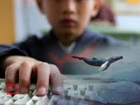 Угроза "Синего кита": украинская полиция усилила поиск пропавших детей