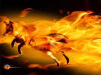 Объявлен новый срок выхода «самого красивого Firefox»
