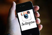 Щенки зарабатывают $3 тысячи за один пост в Instagram