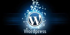 В 2016 году компрометации подверглись более 15 тыс. сайтов на WordPress