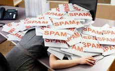 Разработчик написал специального бота для троллинга спамеров