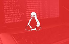 Обнаружен «няшный» Linux-троян для IoT-устройств