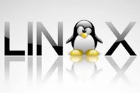 Российская ОС Linux осталась без шрифта Times New Roman из-за санкций