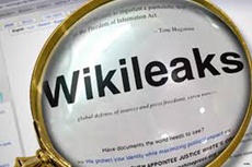ФРГ заподозрила тайного агента WikiLeaks в краже бумаг из Бундестага