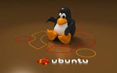 Ubuntu возвращается к корням Linux