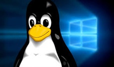 Встроенная в Windows 10 подсистема Linux позволяет прятать вирусы