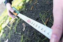 Держземагентство планує надавати послуги кадастру через інтернет