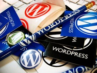 Критическая уязвимость Wordpress и Drupal позволила отключить 23% сайтов в мире