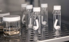 Apple производит ежедневно 2 литра пота для тестирования своей продукции