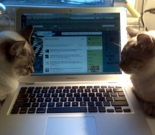 Самый читаемый блогер страны или умеешь ли ты зарабатывать