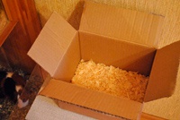 Желание сэкономить привело к покупке ящика опилок вместо iPhone