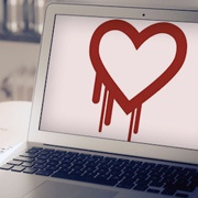 Компании хотят предотвратить новый Heartbleed