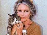 "Маленькая и круглая" кошка Брижит Бардо нашлась: сработало объявление в интернете