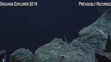 В самой глубокой впадине океана включили web-камеру