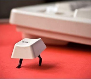 Продвижение сайта как продолжение работы над его созданием