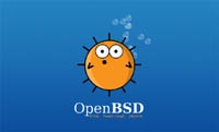 Румынский биткоин-миллионер оплатил долги OpenBSD