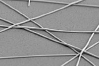 Сенсорные дисплеи сделают серебряными