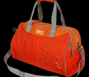 В интернет за спортивной сумкой