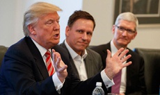 Дональд Трамп встретится с главами Apple, Microsoft и Amazon