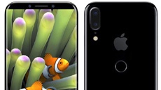 Еще один чертеж iPhone 8