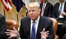 Apple ищет юридические основания для отмены миграционного запрета Трампа