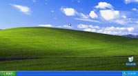 Windows 8.1 назвали лучшей заменой для Windows XP