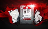 WD представила первый в мире 2,5” HDD для сетевых систем хранения данных