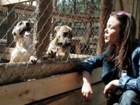 Блоггер Алина Гроссу призывает помочь животным