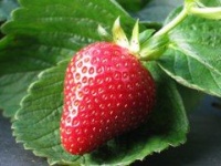 Открыт первый порносайт для слепых