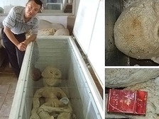 Китайца, опубликовавшего фото с трупом пришельца, отправили за решетку