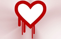 Google избавила большинство своих служб от уязвимости Heartbleed