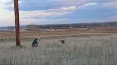 В сеть утекла информация о месте действия Far Cry 5